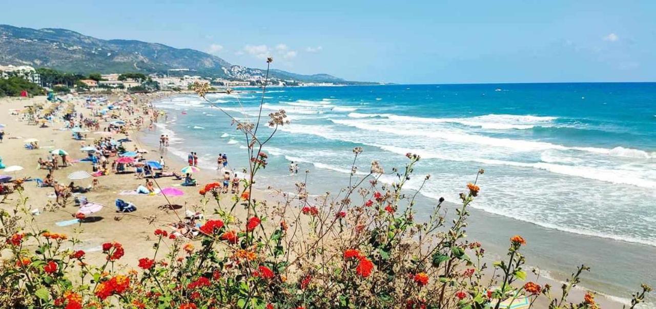 Villa Paula Alcossebre Mar Y Montana Bagian luar foto